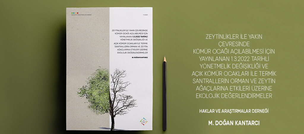 Prof. Doğan Kantarcı’nın Kömür Ocaklarının Zeytin Ağaçlarına Etkisini Araştıran Raporu Yayınlandı