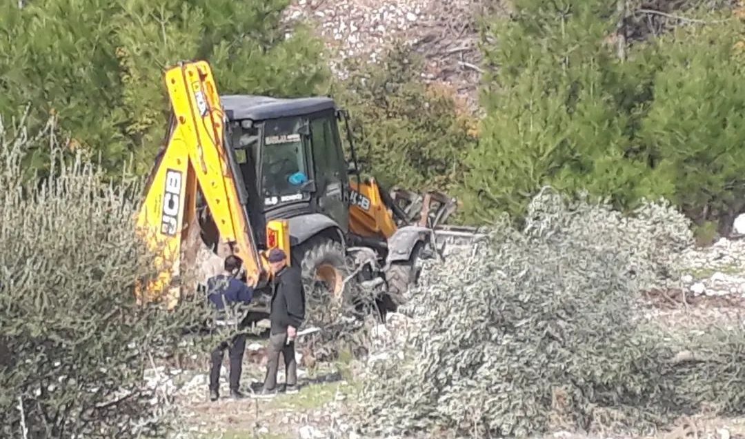Akbelen Ormanı’nda Ağaçlar Sökülüyor
