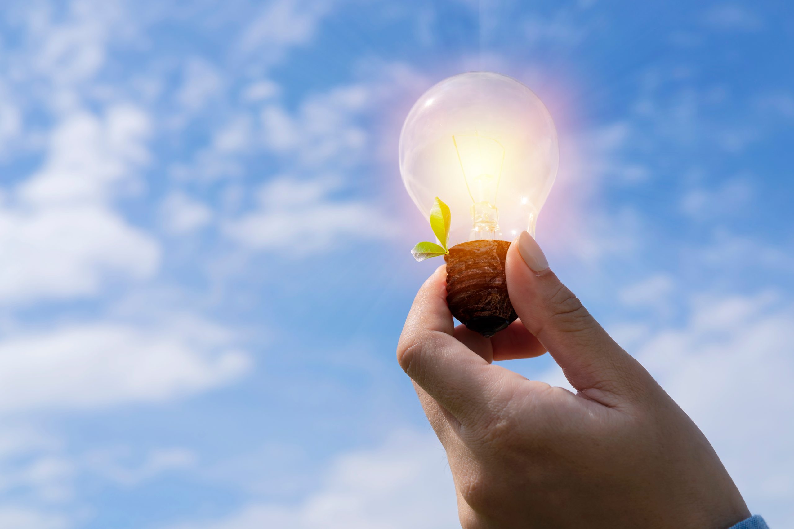 Temiz Enerji Yatırımları Yükselişte