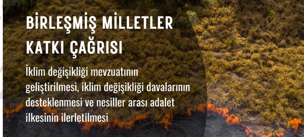 BM Katkı Çağrısı: İklim Değişikliği Mevzuatının Geliştirilmesi ve İklim Değişikliği Davalarının Desteklenmesi
