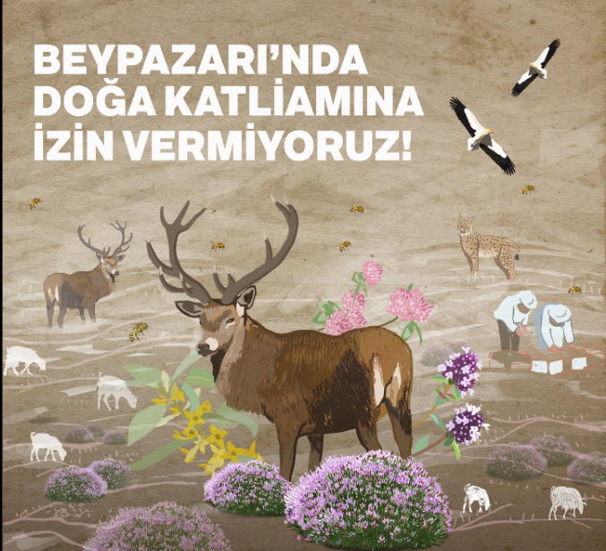 Beypazarı’nda Doğa Katliamı