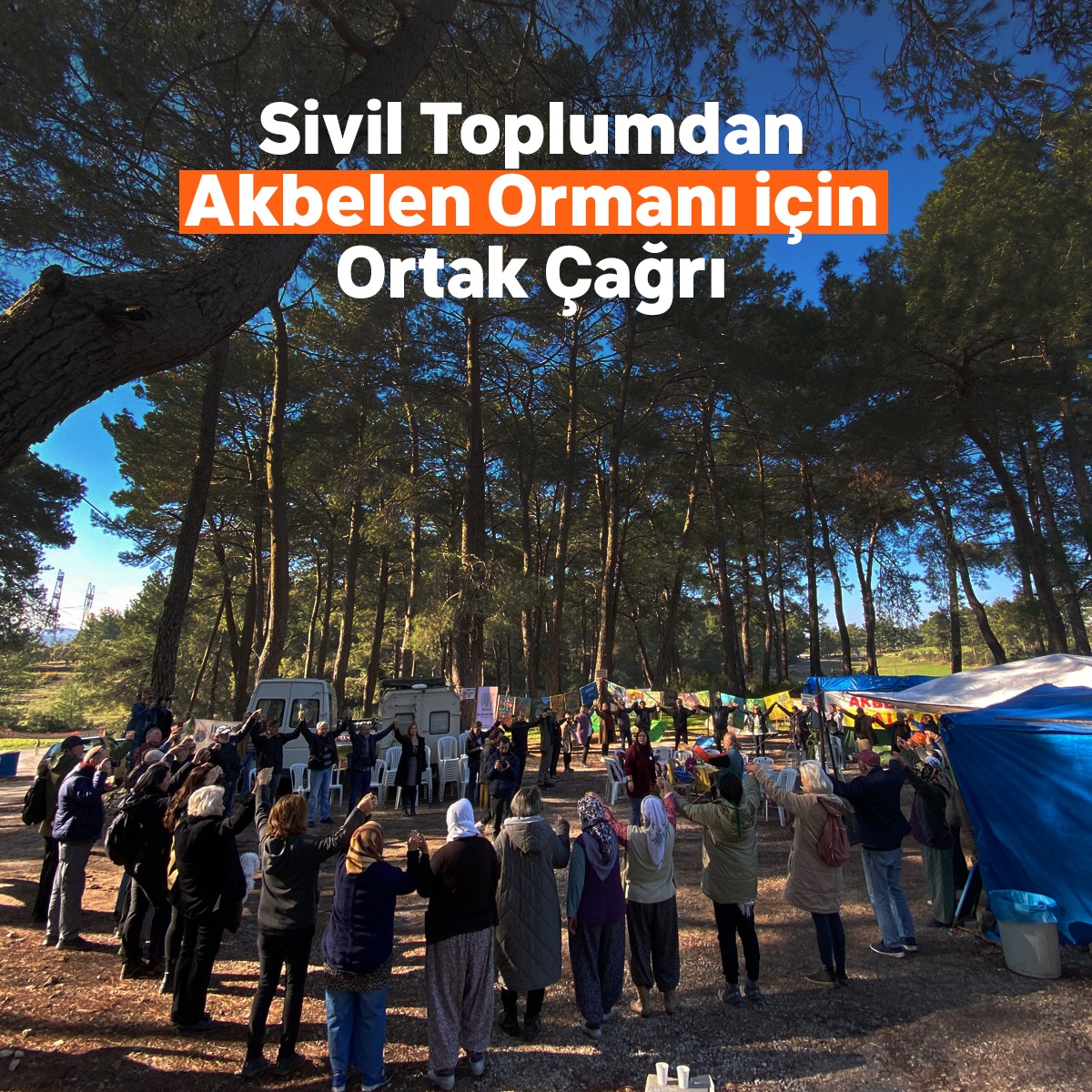 Akbelen Ormanı’nın Korunması için Sivil Toplum Kuruluşlarından Ortak Çağrı!